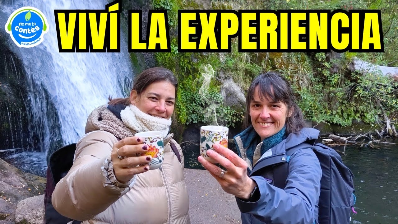 Ba&ntilde;os de Bosque: La Pr&aacute;ctica Japonesa que Mejora la Salud y Conecta con la Naturaleza | NMLC #61