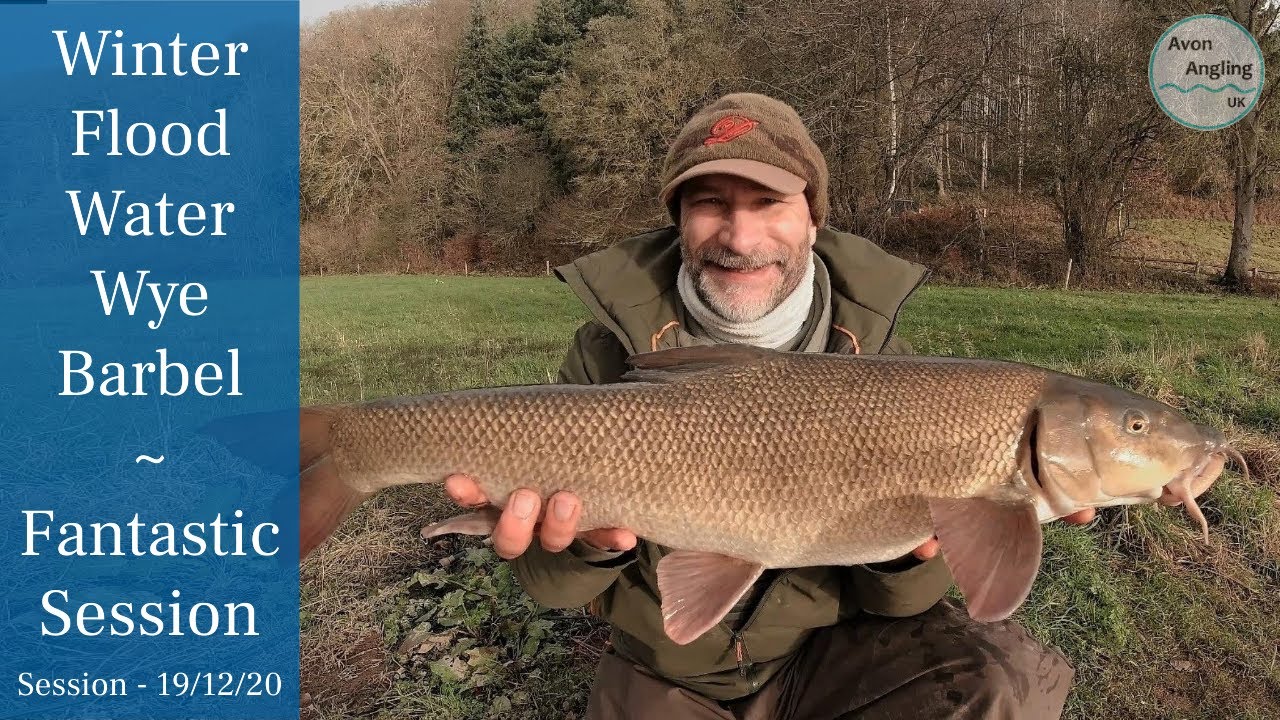 Winter Floodwater Barbel Fishing - Wye Up 3m & Rising! - Fantastic Session - 19/12/20 (Video 202)
