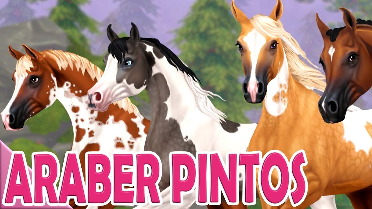 NEUE ARABER PINTOS 🤩 PFERDEKAUF 🐴 Star Stable Online