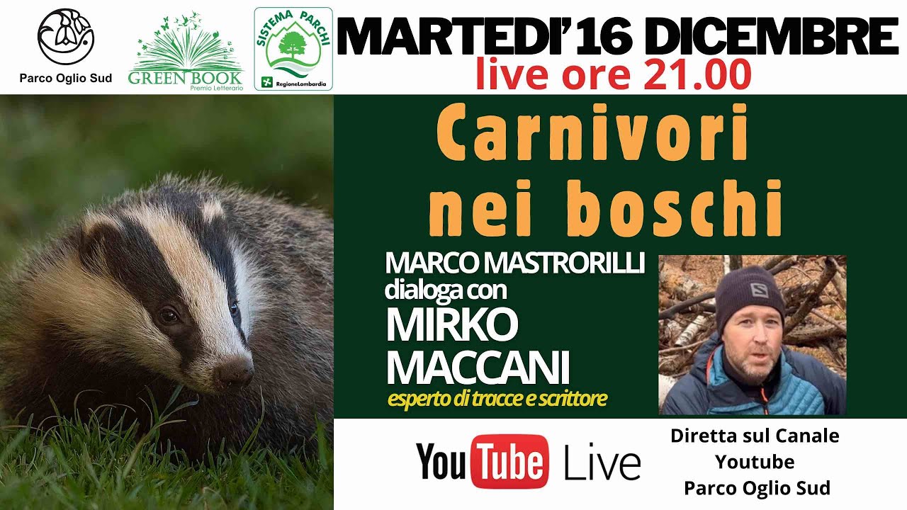 Carnivori nei boschi  Marco Mastrorilli dialoga con Mirco Maccani