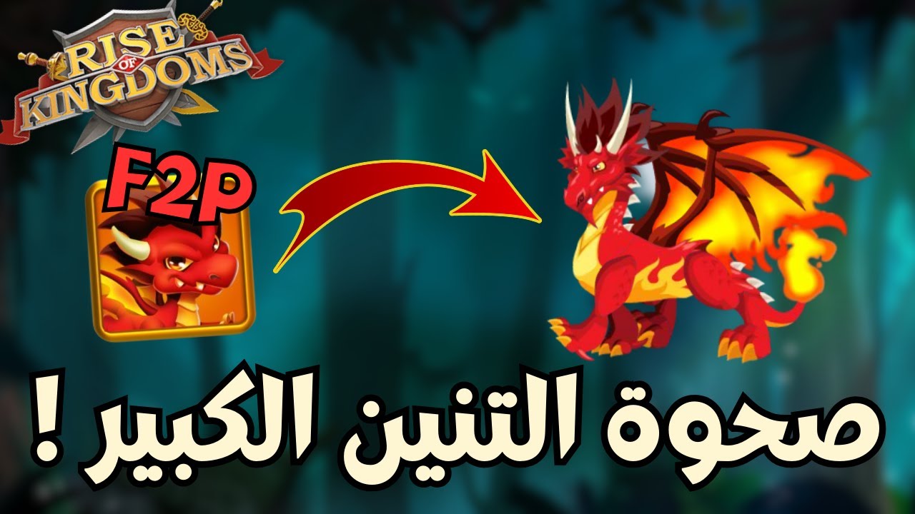 رايز اوف كينجدوم | حسابي الجديد ! جميع قادة الفرسان حضروا | Rise of Kingdoms