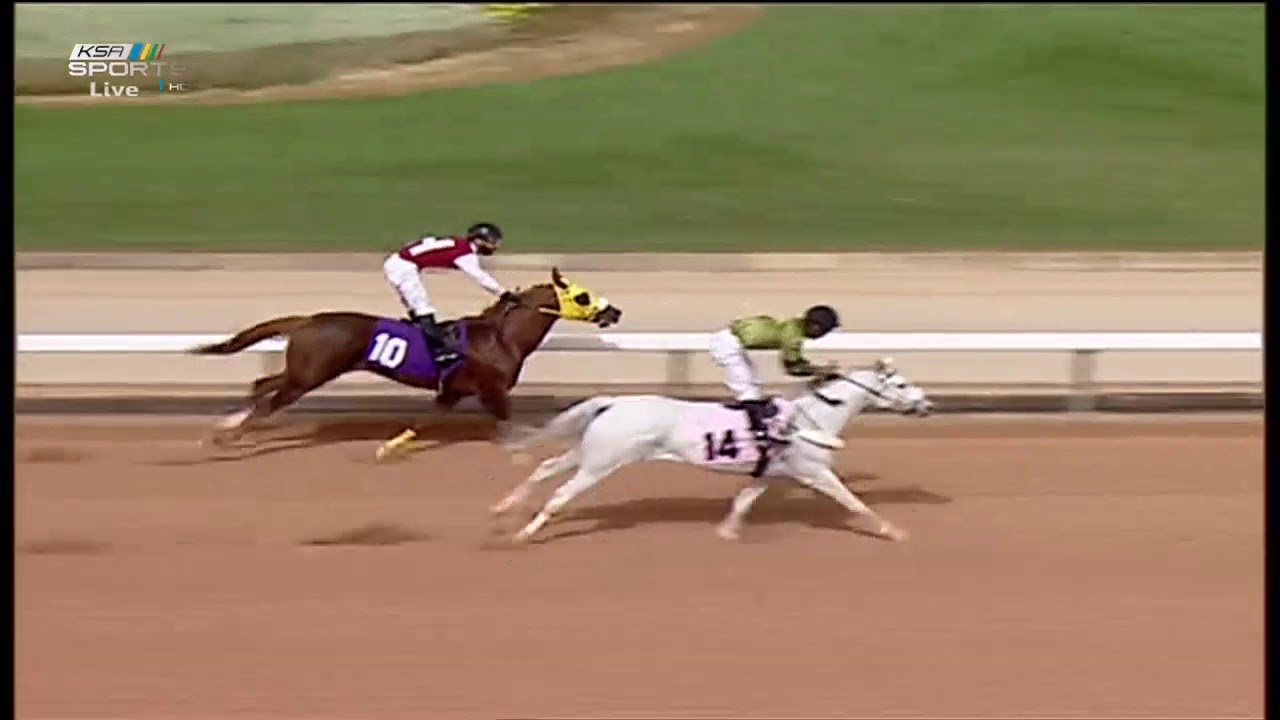 فيديو مسابقة عز الخيل يوم الجمعه ١٣-٤-٢٠١٨