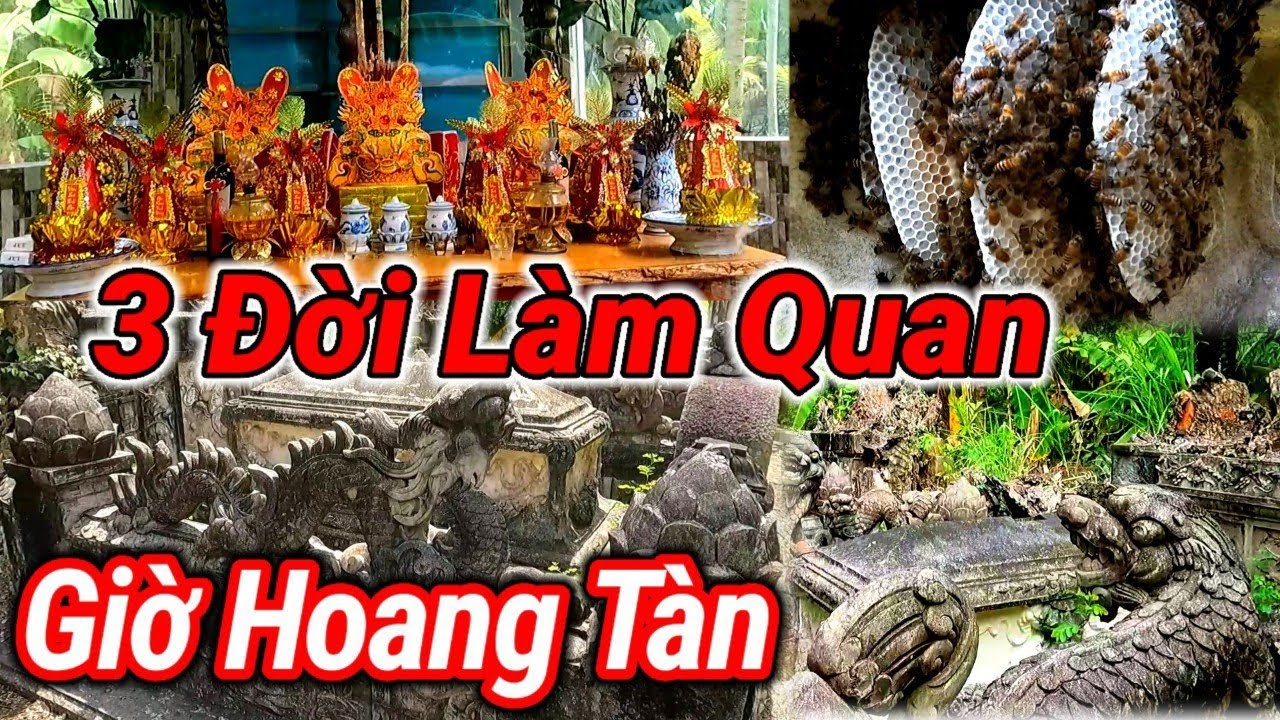 khu Mộ Cổ 3 Đời làm Quan họ Nguyễn Tắc ít ai biết tại Bến Tre
