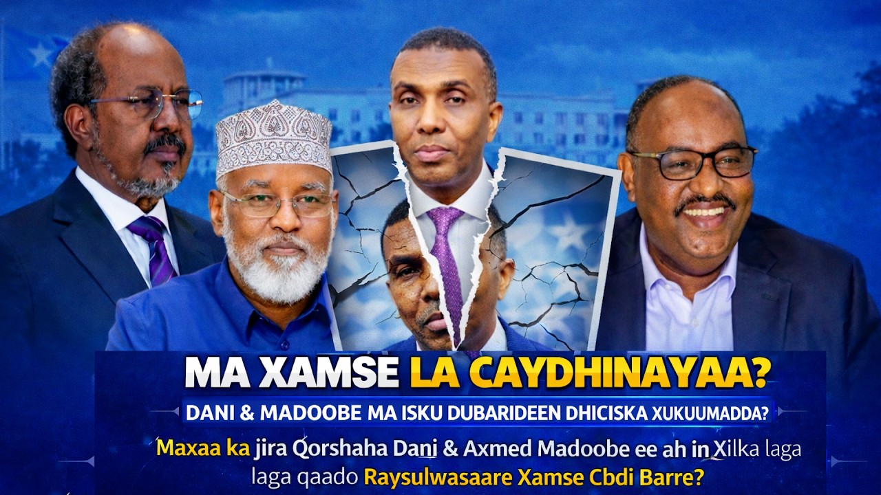 Maxaa ka jira in Dani & Axmed Madoobe ay Qorshaynayaan Ridista Raysulwasaare Xamse?