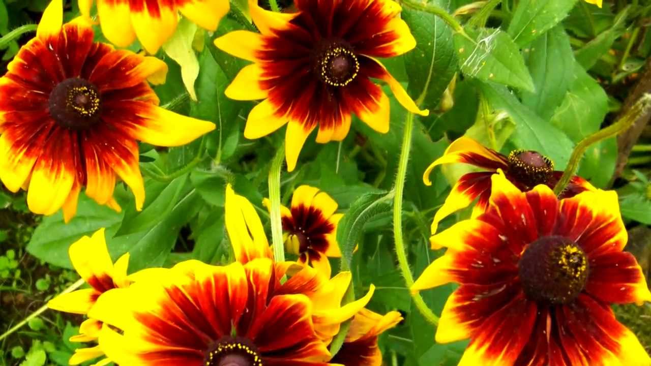 PODR&Oacute;ŻĄ KAŻDA MIŁOŚĆ JEST...