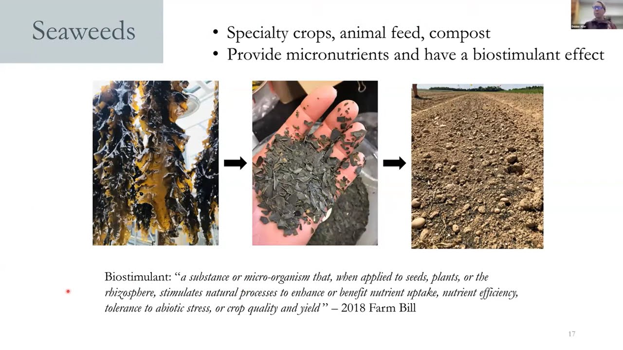 Webinar & Updated Q&A: Biochar and Soil Amendments - Dr. Deborah Aller