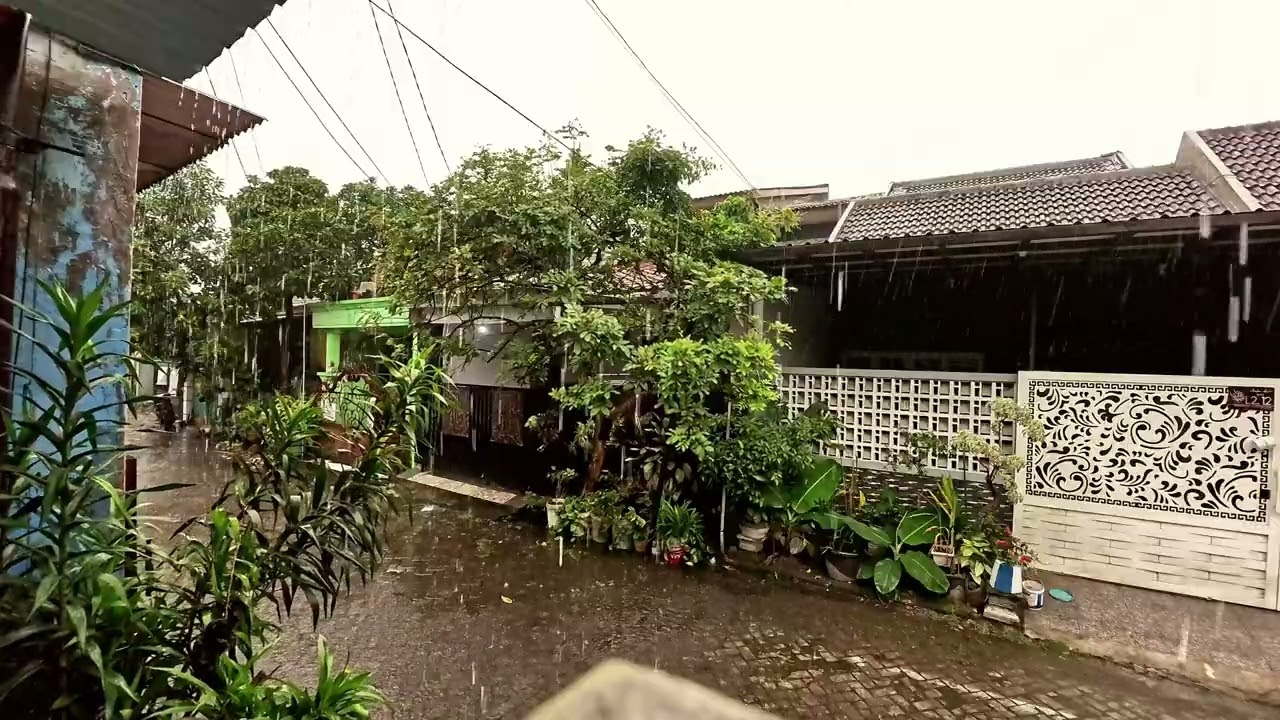 🌧️ Relaxing Rain ASMR for Sleep & Study | Cozy Raindrops Sounds#heavyrainasmr  #DeepSleep