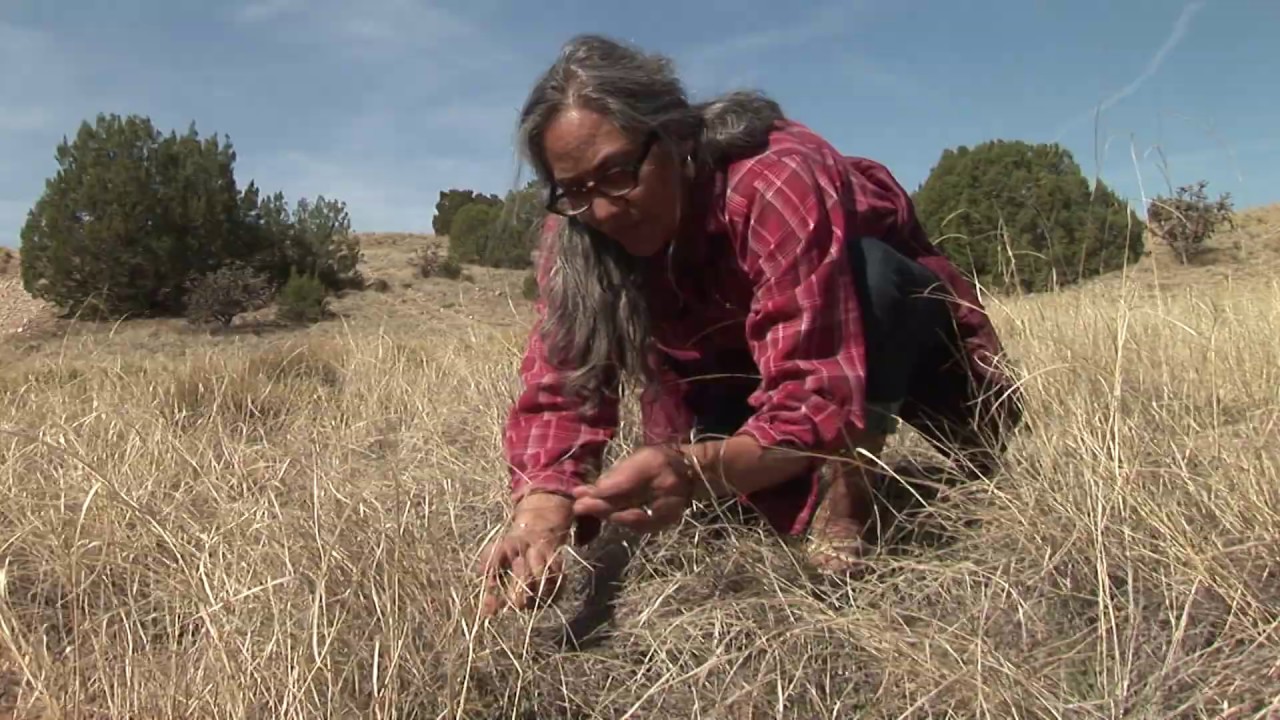 New Mexican Spring Herb Walk with 