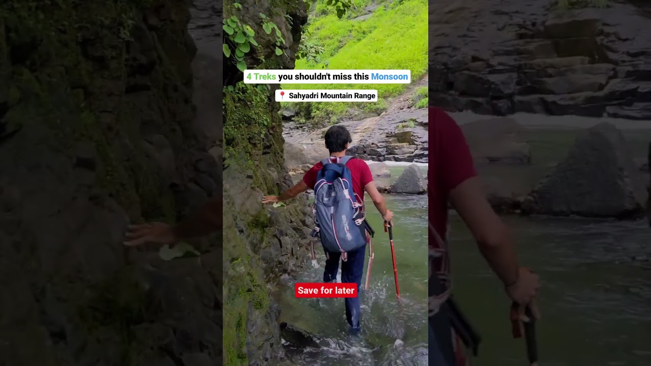 Best Monsoon Treks near Mumbai you shouldn't miss!