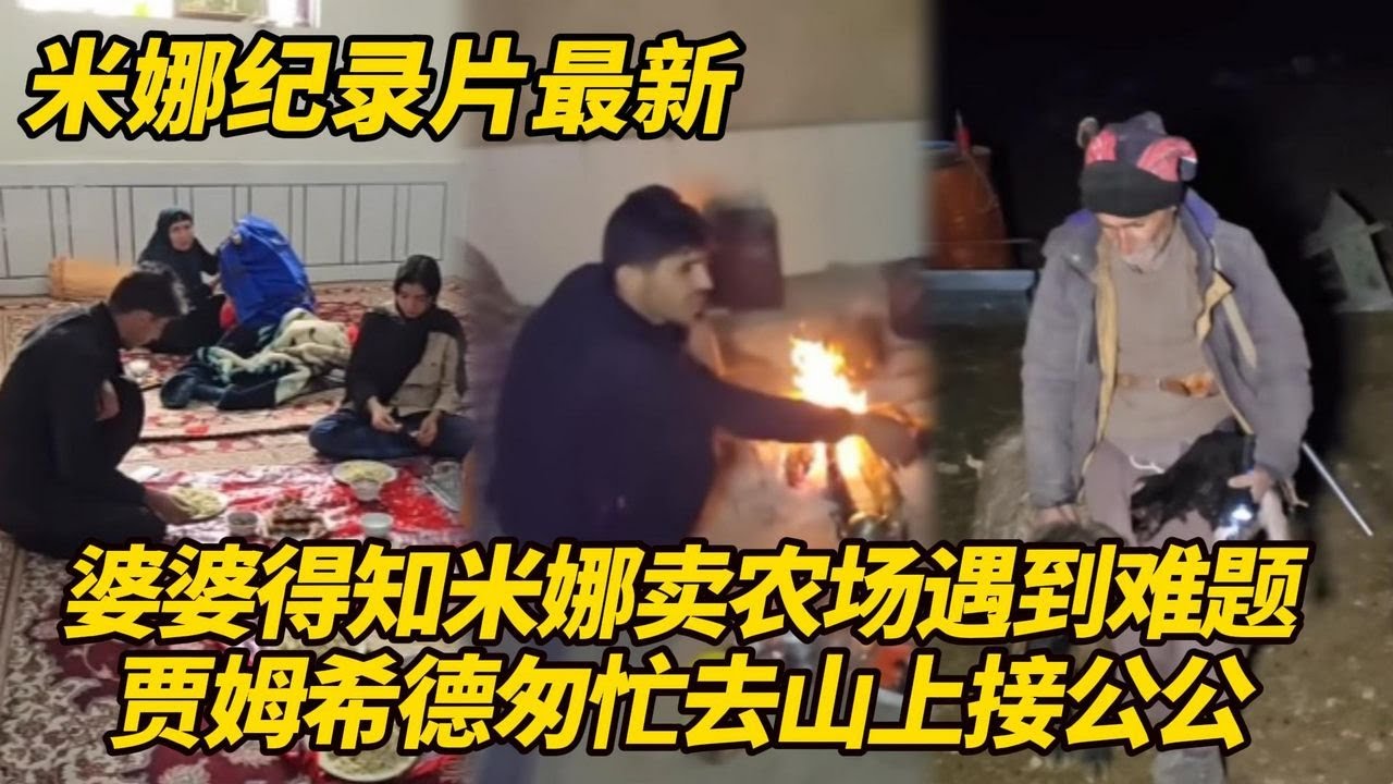 婆婆得知米娜卖农场受阻！贾姆希德匆忙去山上接公公回来，卡迪尔又在预谋什么？#纪录片 #伊朗游牧民生活