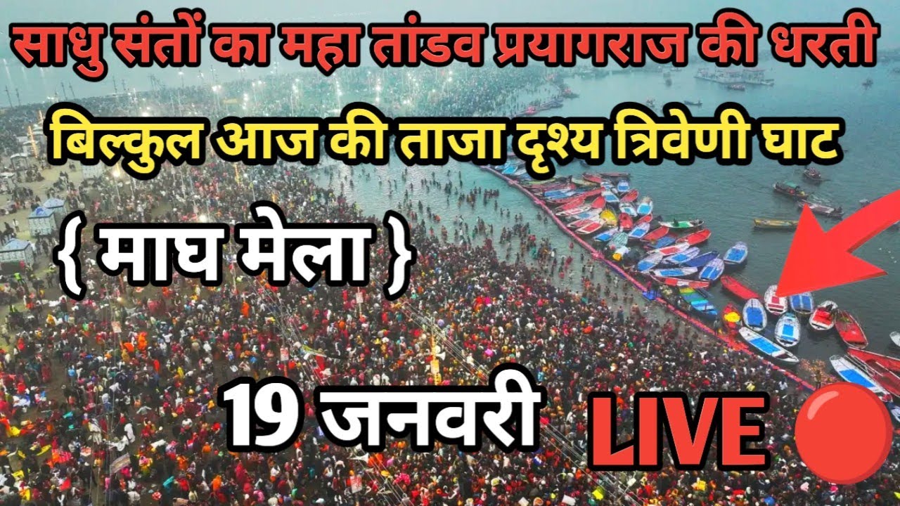 Prayagraj Magh Mela 2026| 19 जनवरी गंगा स्नान |Magh Mela | बिल्कुल आज की ताजा दृश्य | Prayagraj live