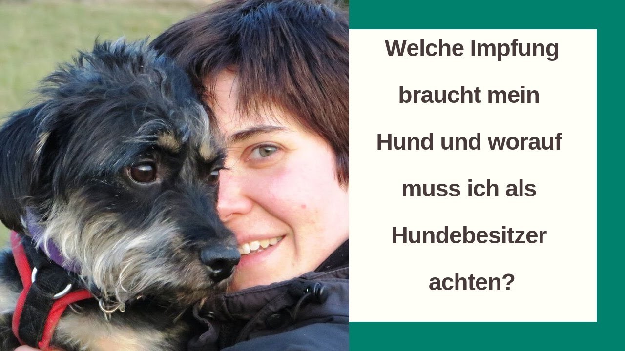 Welche Impfung braucht mein Hund und worauf musst Du als Hundebesitzer achten.