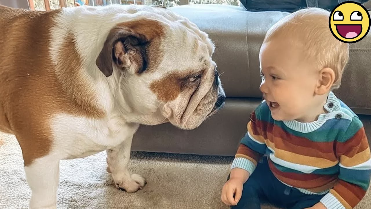 💞Nothing Warms the Heart Like Babies & Puppies Playing Together! 🐶