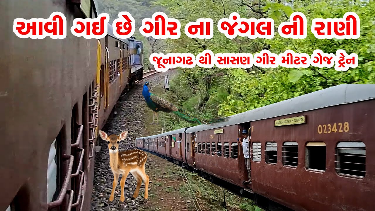 Junagadh to Sasan Gir || Meter Guage train || જૂનાગઢ થી સાસણ ગીર || મીટર ગેજ ટ્રેન || ભાડું rs. 20
