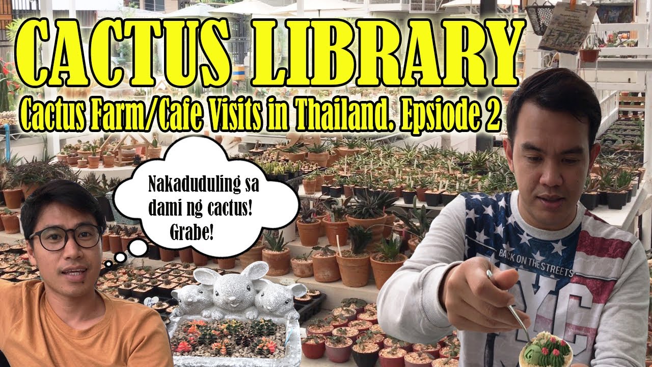Cactus Library  | Cactus Farm Visit Thailand Series Ep. 2 #Cactuslibrary #bangkokthailand