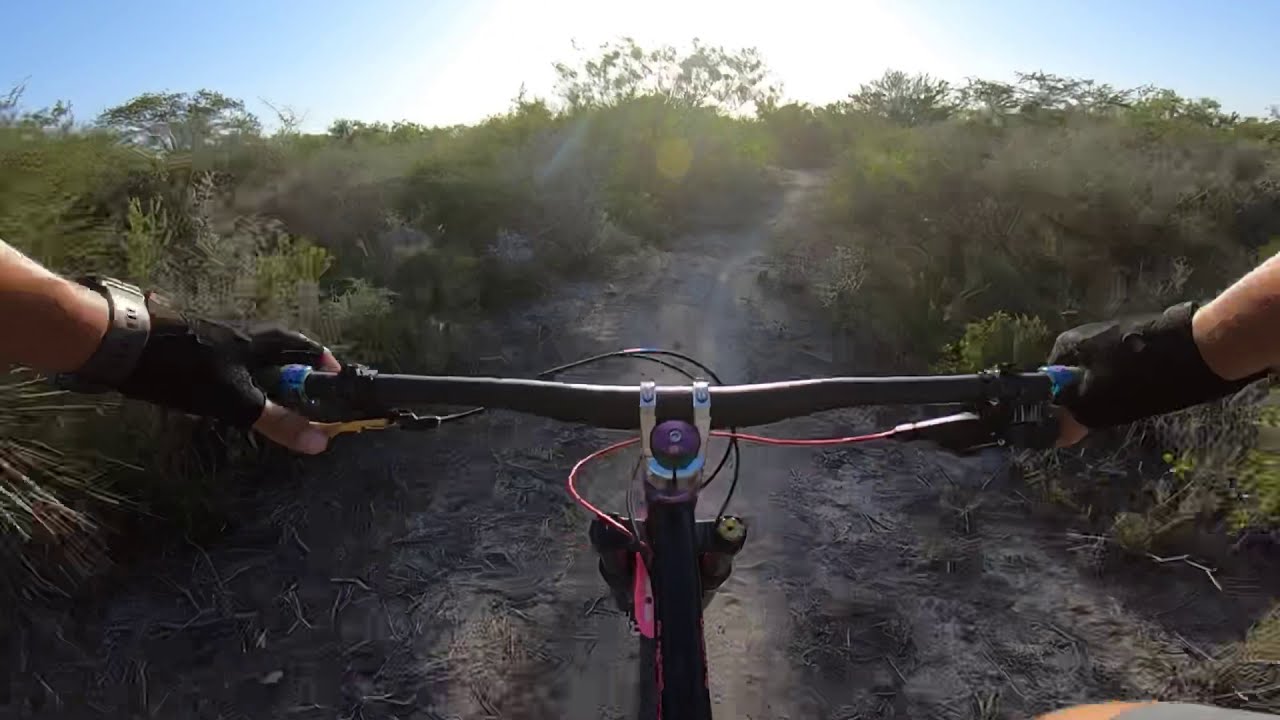 Ragley Blue Pig @ Harlingen, TX trail