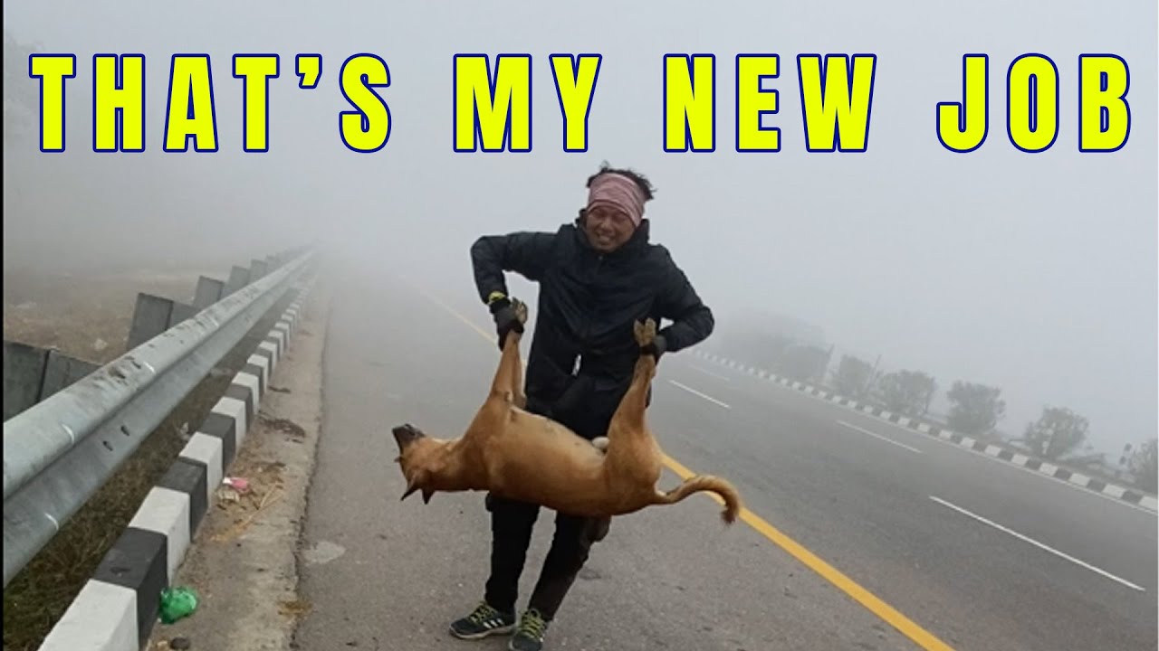 Never leave a dead animal on the road II How to ride in Fog || The Northeast Trip day 56