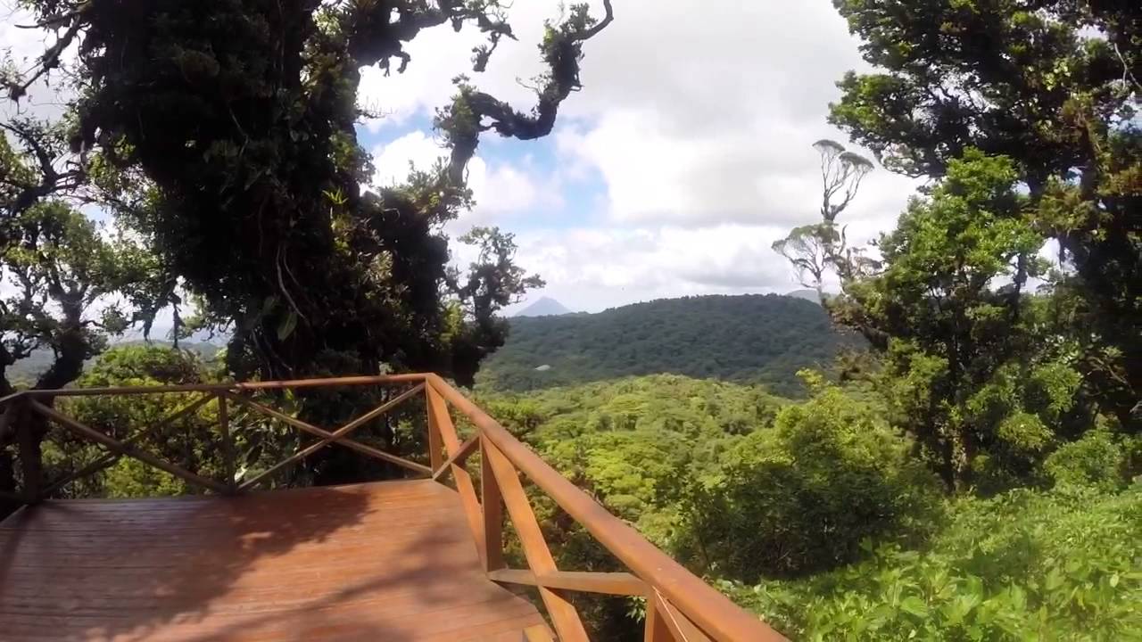 Monteverde: Puentes colgantes y teleférico en Monteverde