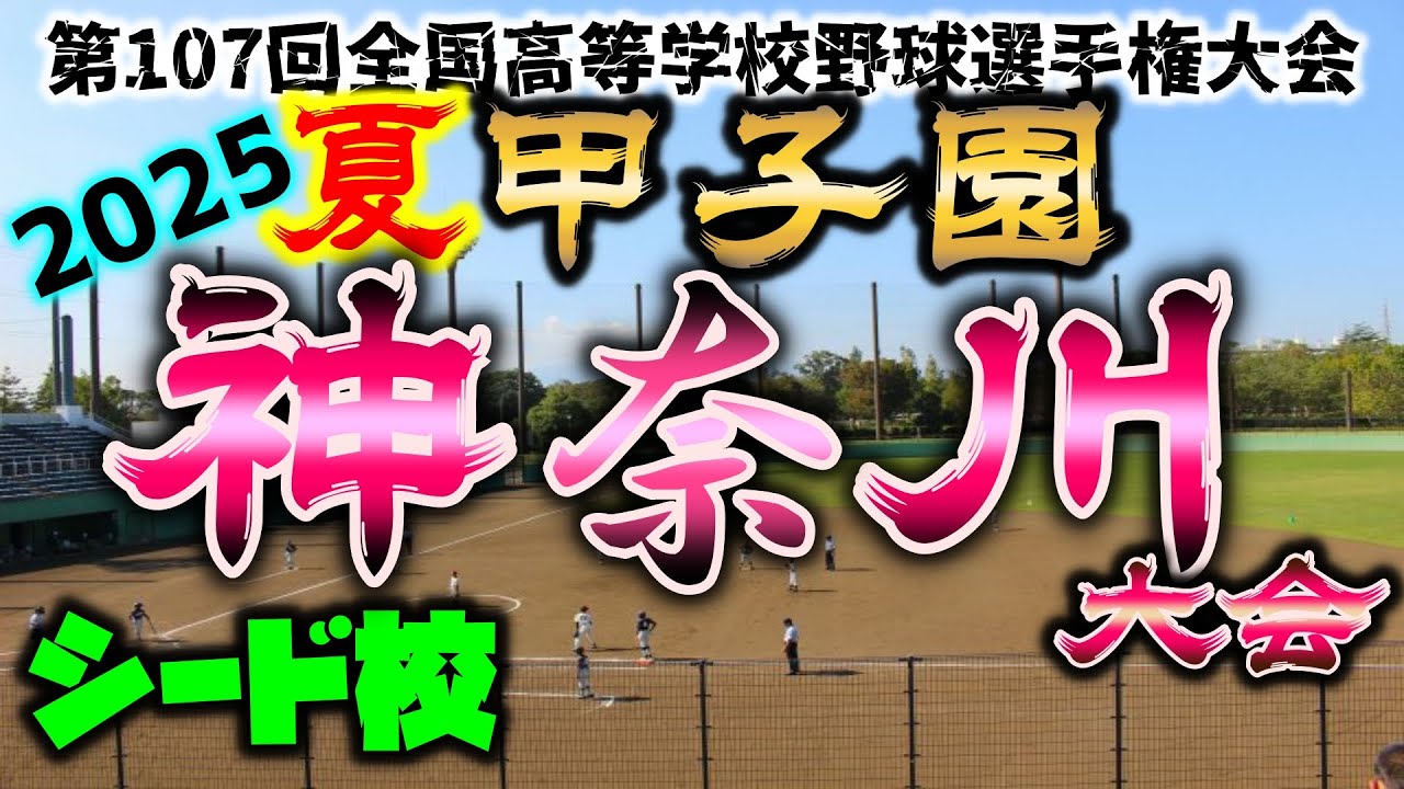 2025年夏の甲子園 神奈川予選シード校