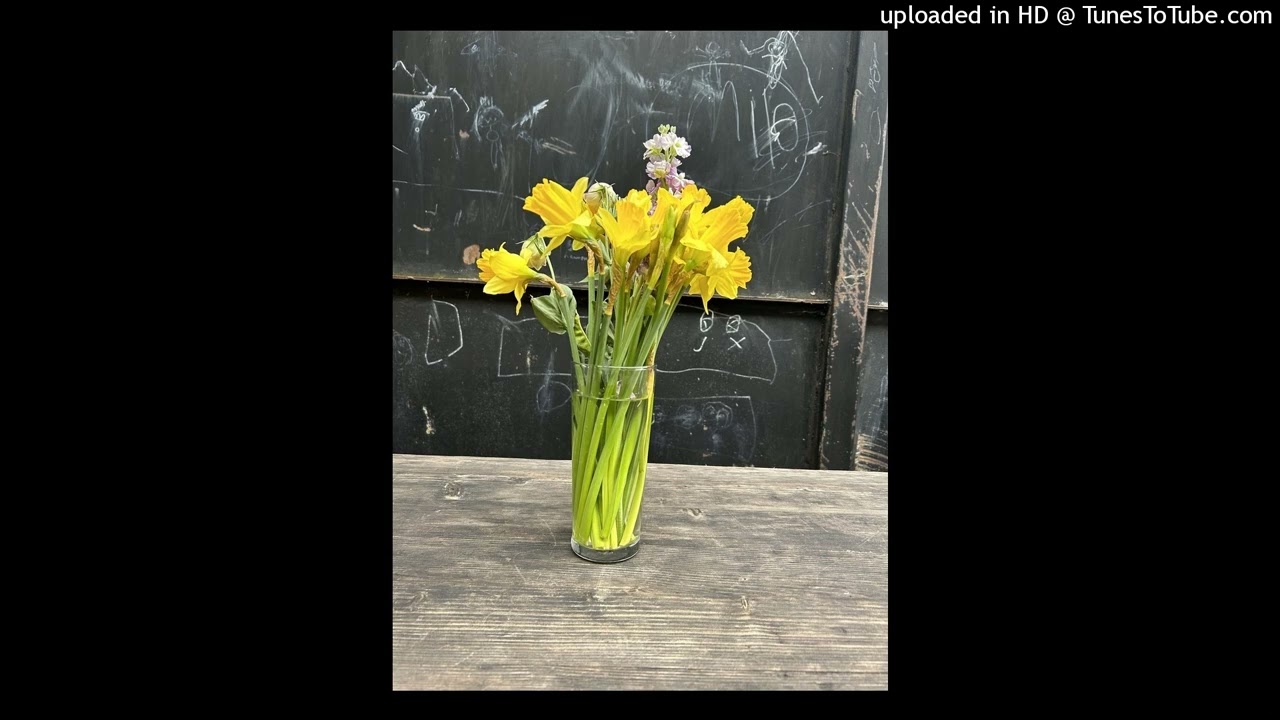 The Rinkles - Daffodils Are Out (Instrumental)