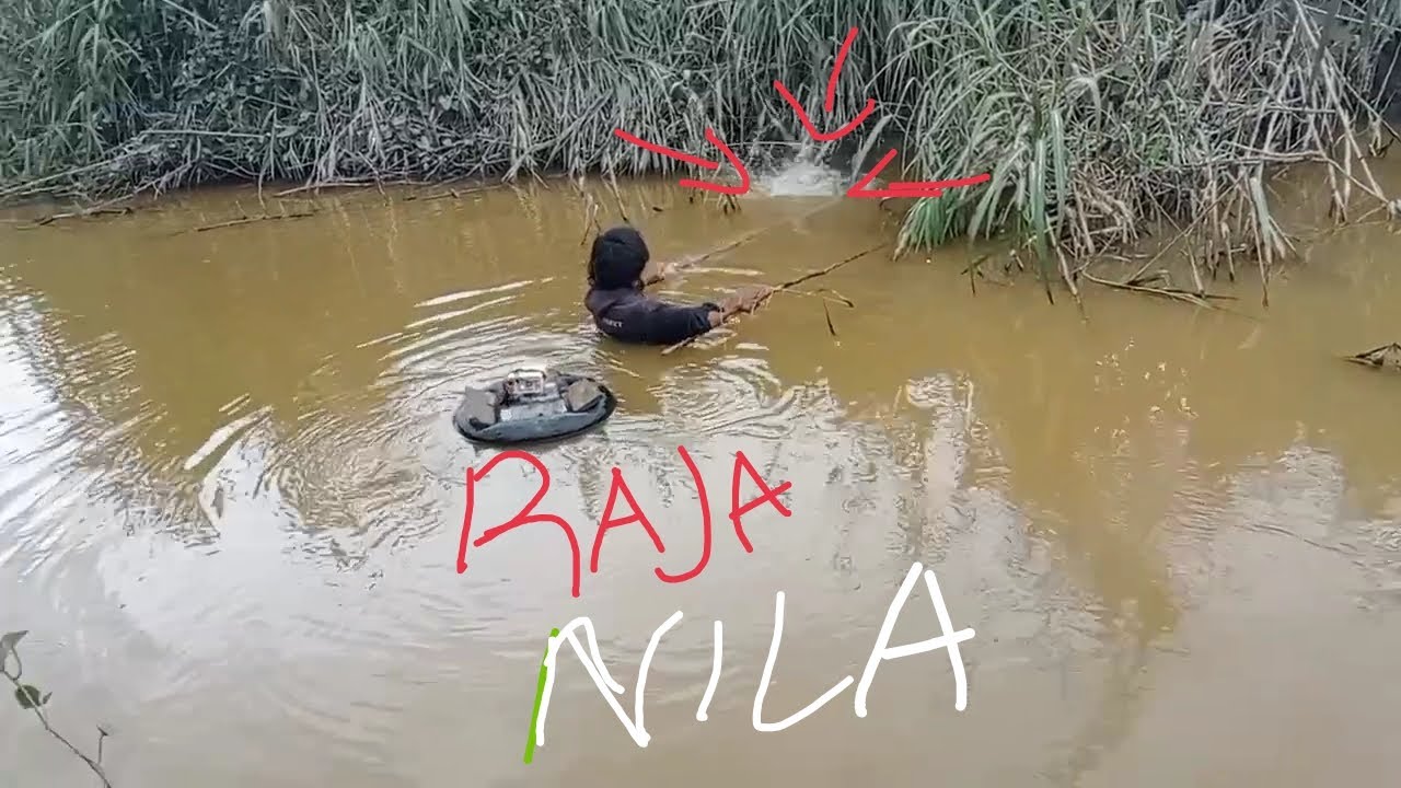 Jangan ngaku nila babon kalo belum lihat ini hasil  pdc susan 735 modif full spek sg 120 lewat