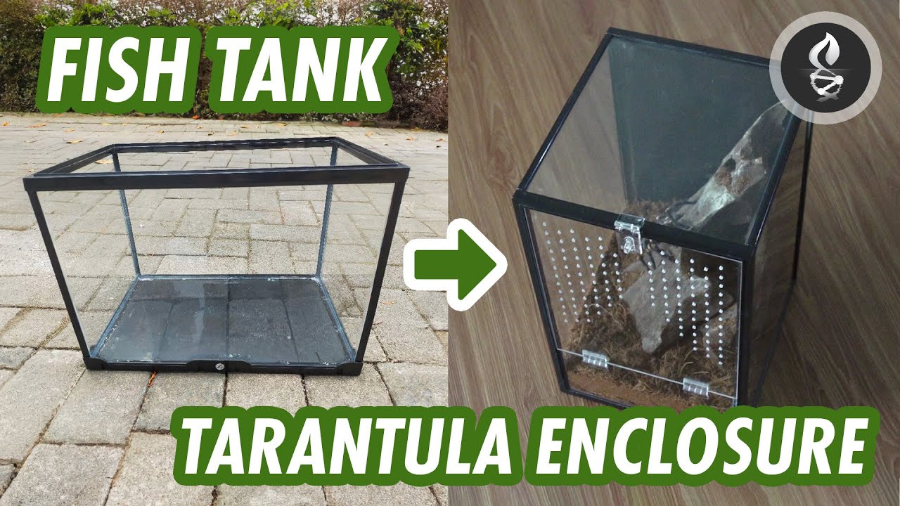 HOW TO MAKE a Tarantula Enclosure From an Old Fish Tank
