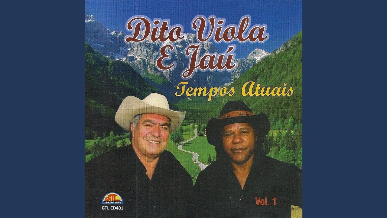 Pagode Sertanejo