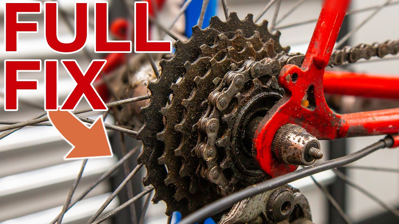 Fixing an abandoned commuter bike! 3 years no service!