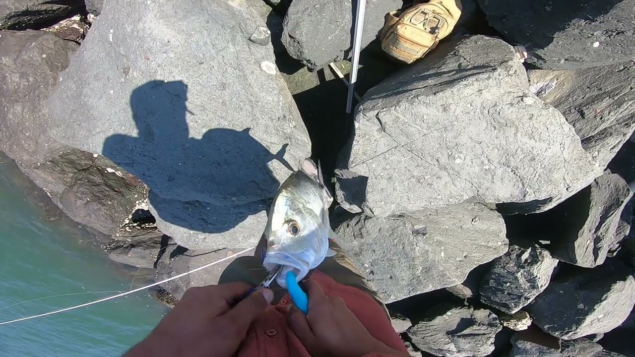 Shore Slow Jigging: GT aka Kingfish Caught on a Slow Pitch Jig!!!