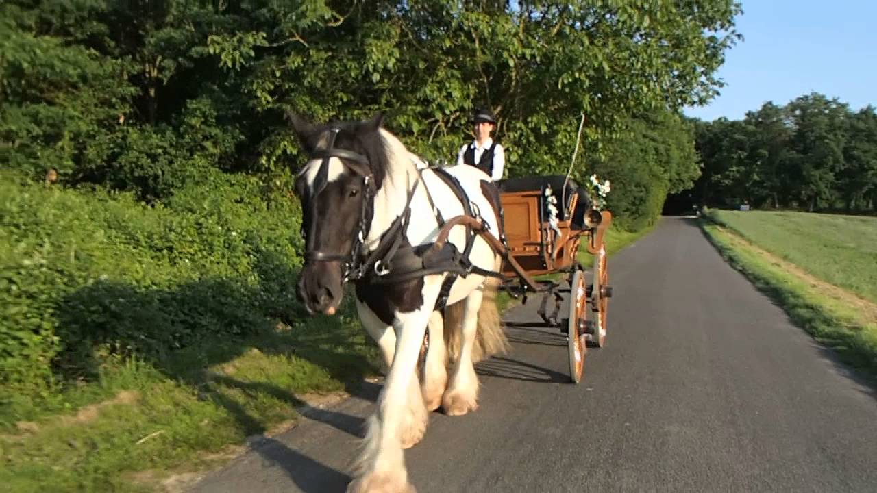 Fin de prestation mariage en calèche : on se rentre tranquillement !
