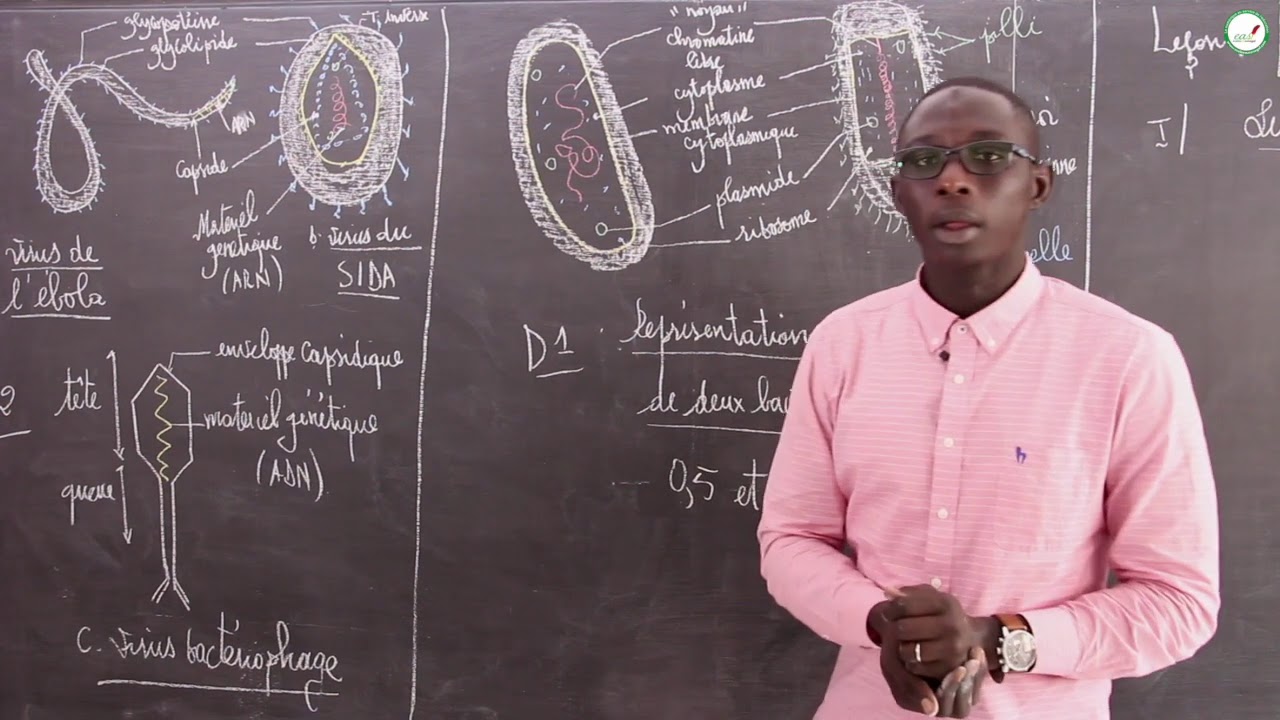 Cours - Première - SVT : Cas particulier des bactéries et virus / M. Beye