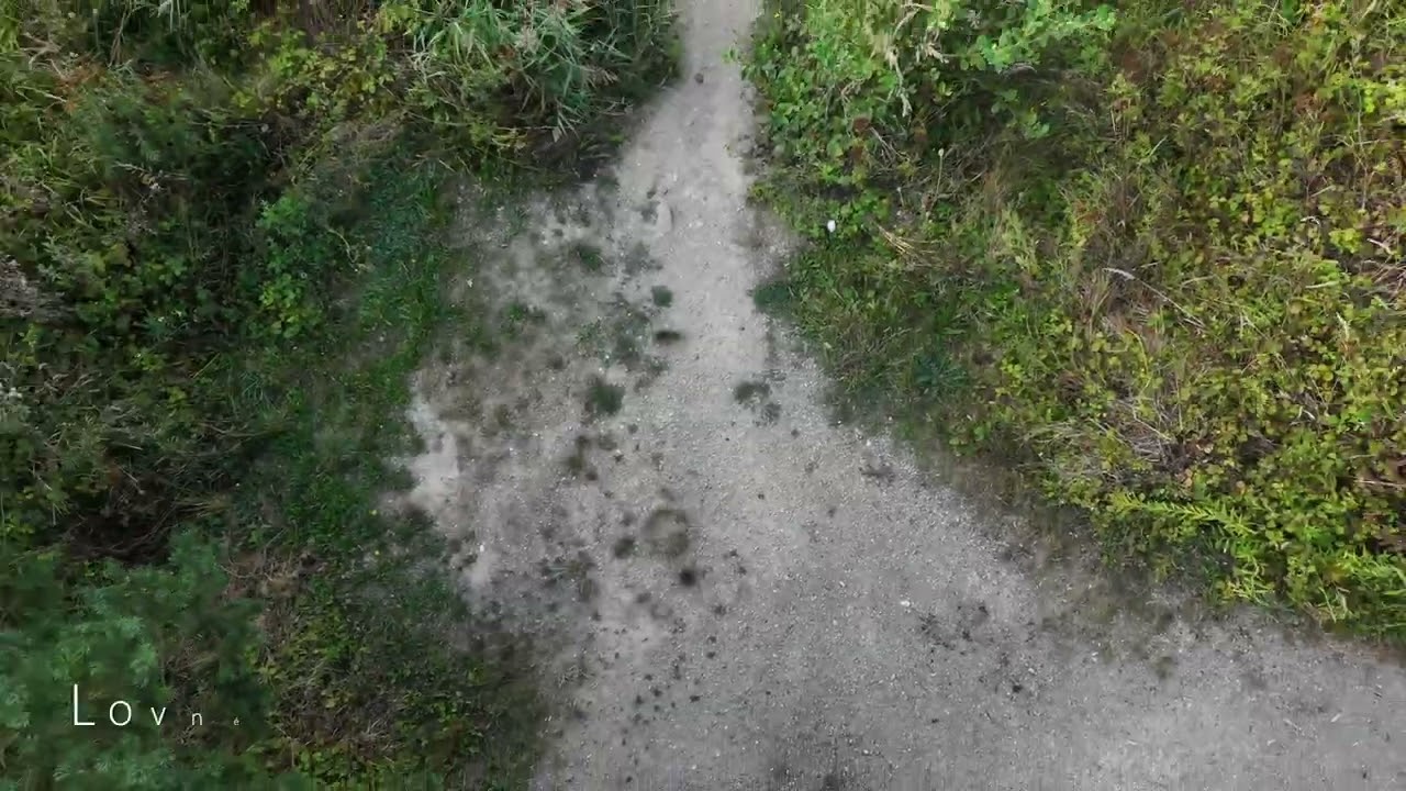 Pískovna Vejprnice - představení lovných míst