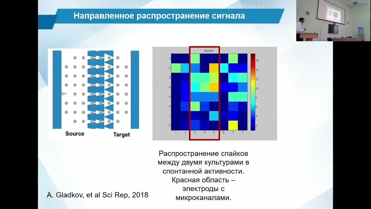 Казанцев В.Б. Модели и технологии нейрогибридных систем