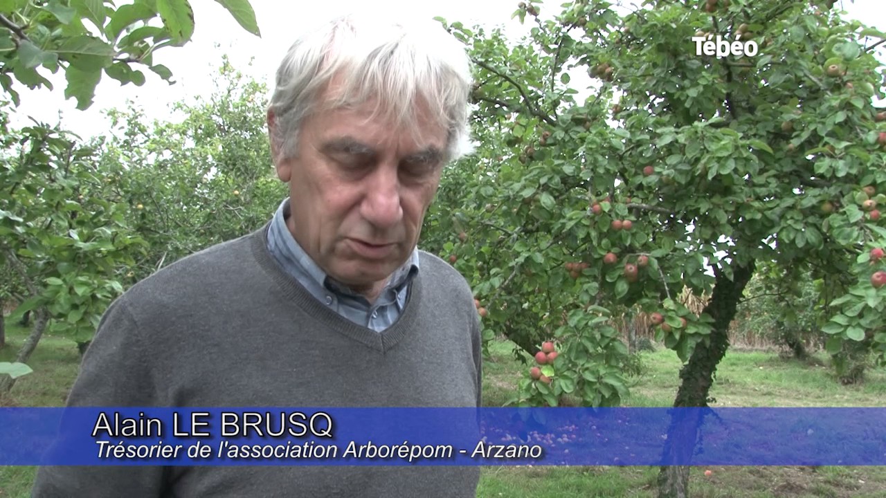 Arborépom – Le conservatoire de la pomme à Arzano