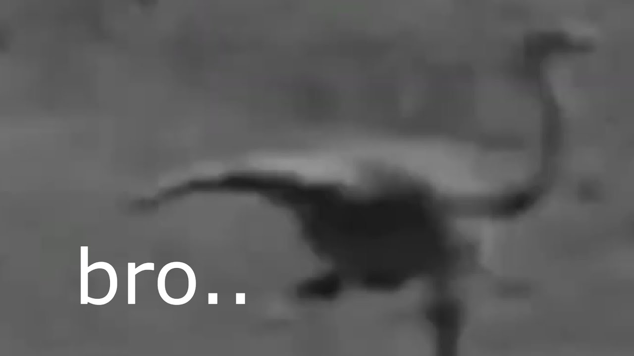 The Dumbest Dinosaur Video Ever Created