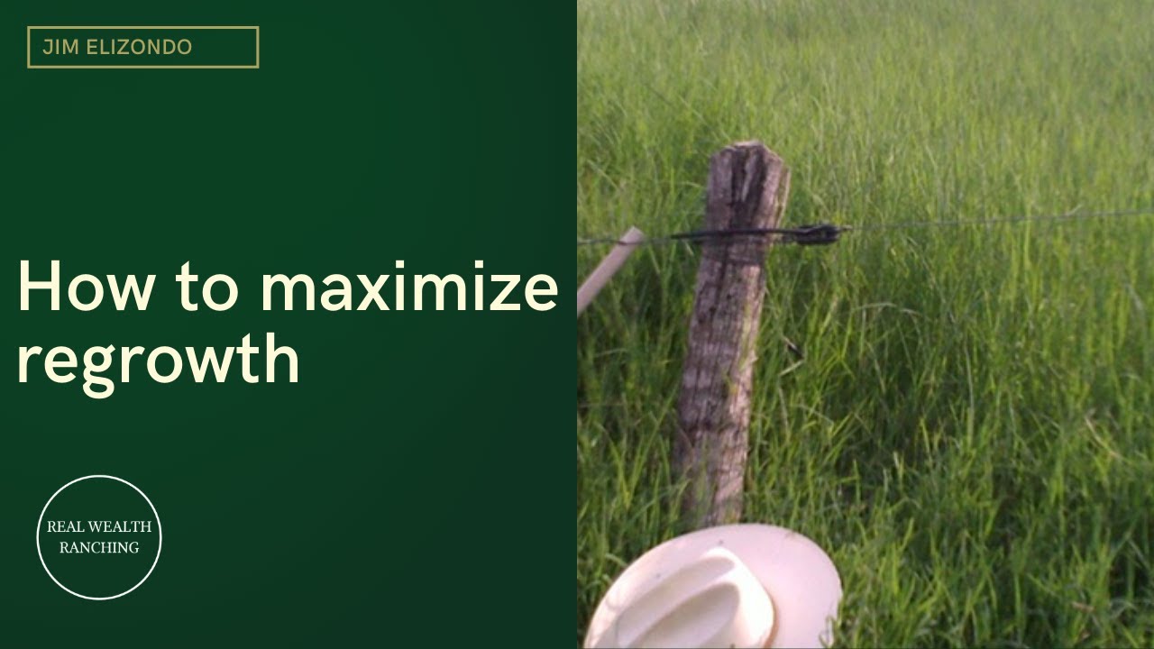 How to maximize regrowth - Jaime Elizondo