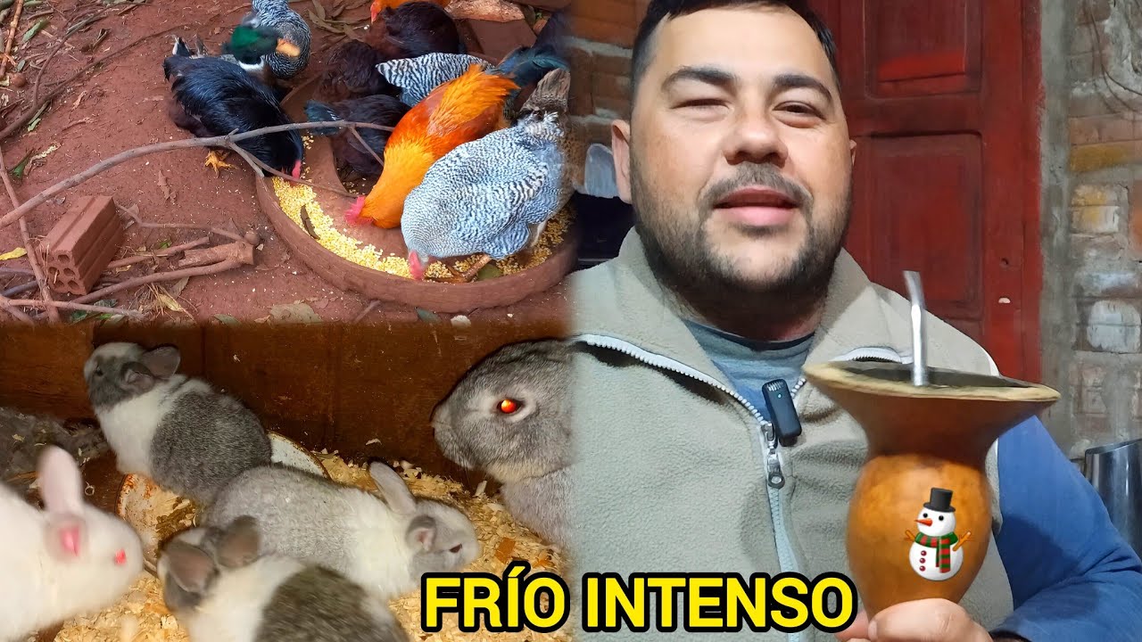 Día de Huerta y Granja muchísimo frío