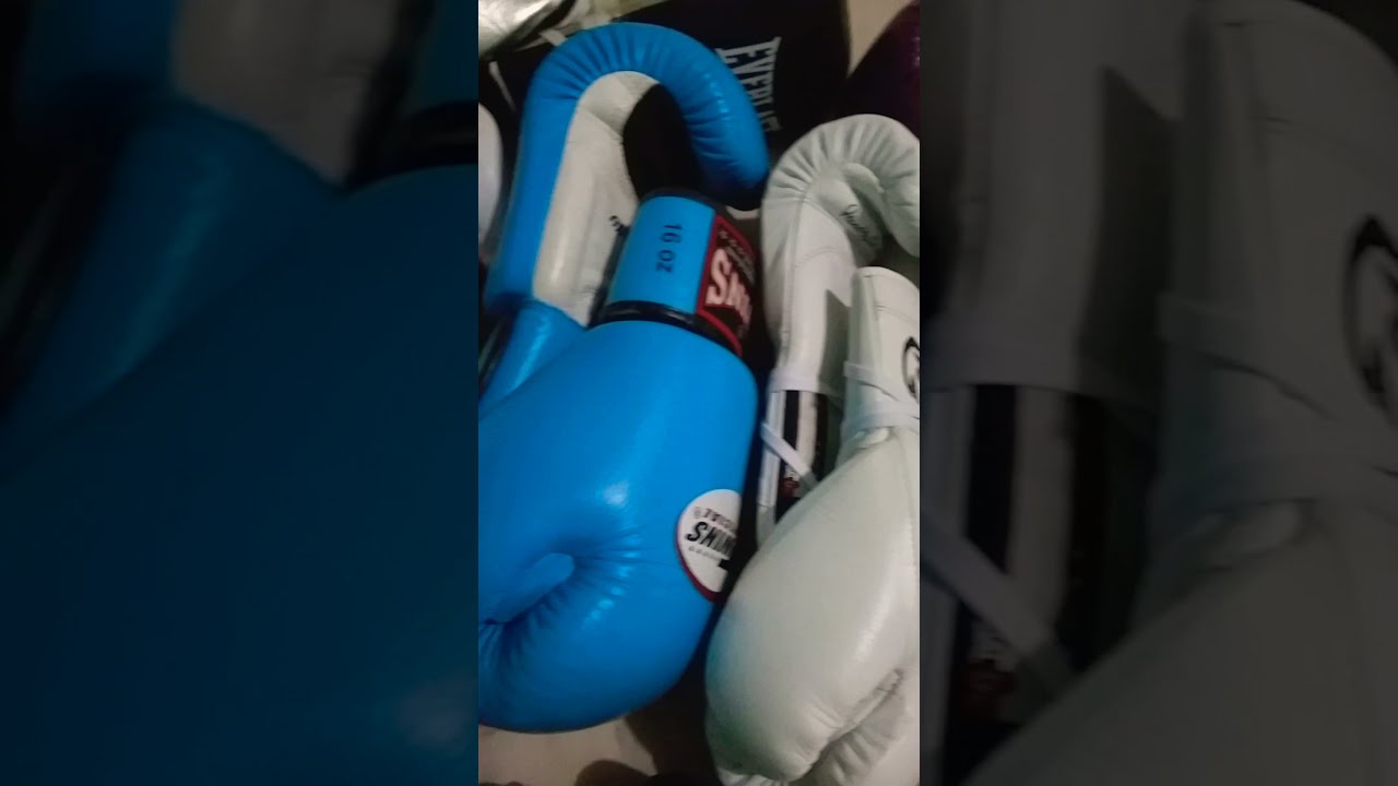 Reyes Isami Winning Rival Twins Everlast Venum Glove collection