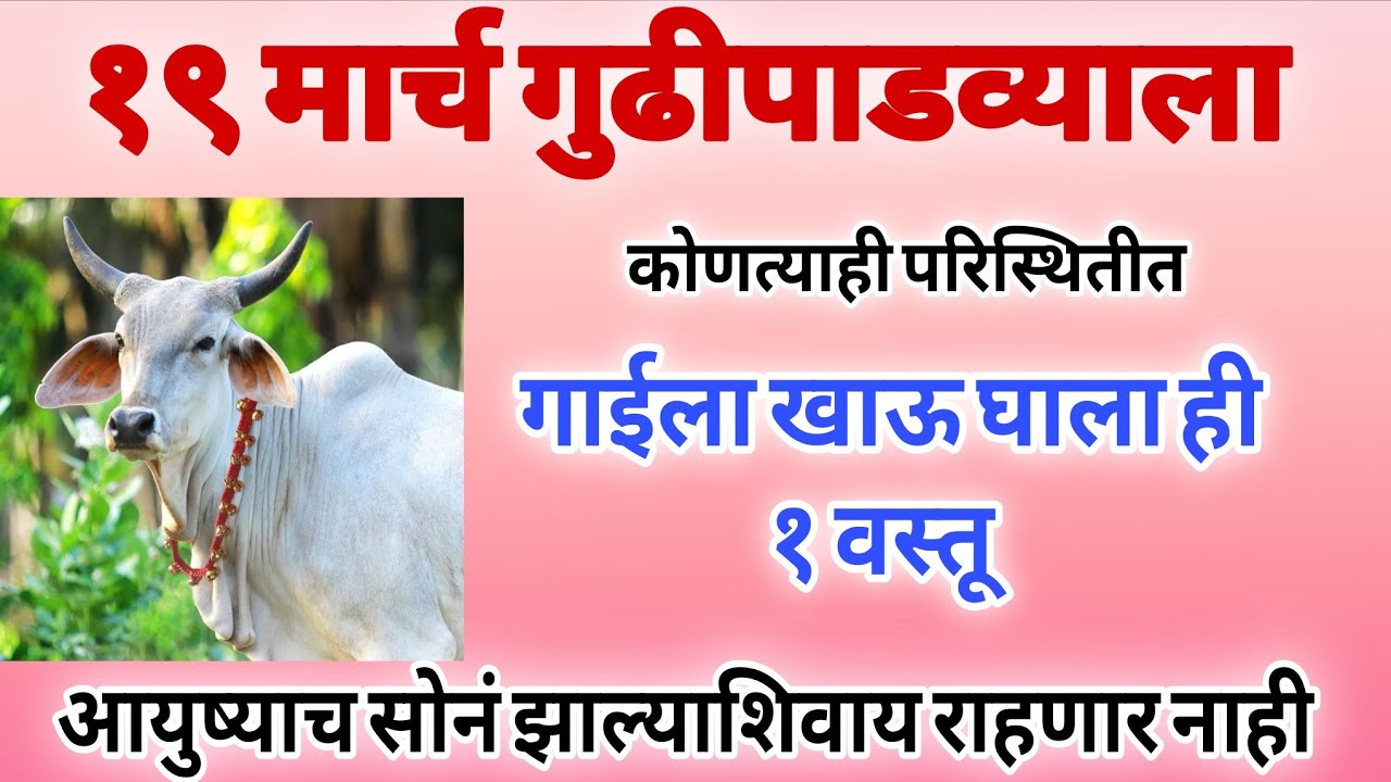 गुढीपाडवा 2026 गाईला खाऊ घाला ही एक वस्तू, कोणताही शत्रू पितृदोष ग्रहदोष दारिद्र्य संपेल #gudipadwa