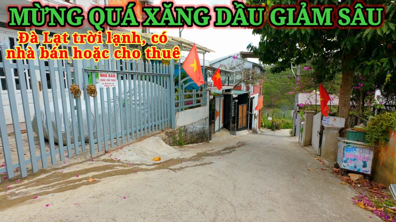 MỪNG QUÁ XĂNG DẦU GIẢM MẠNH. ĐÀ LẠT TRỜI GIÓ LẠNH VỀ ĐẶNG THÁI THÂN CÓ NHÀ BÁN