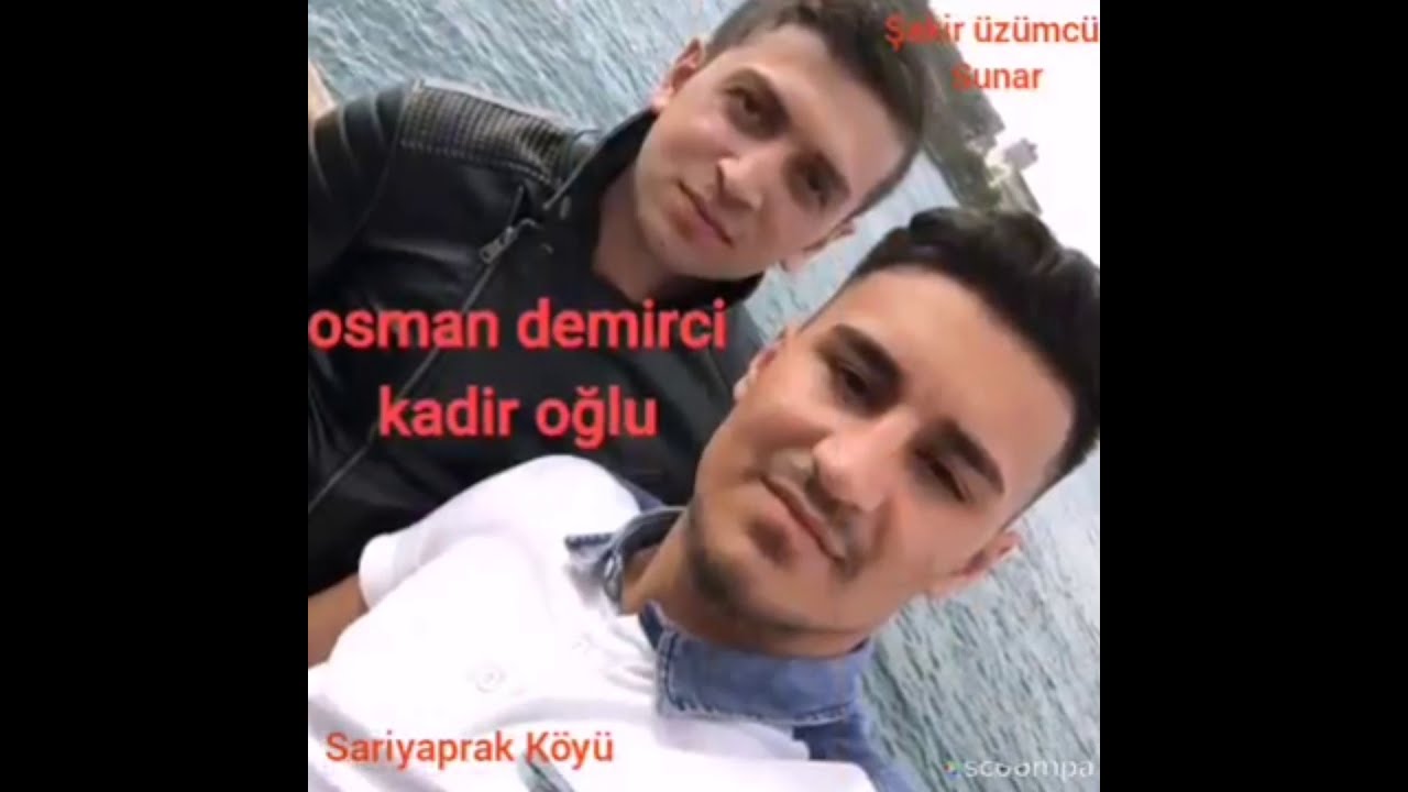 Sarıyaprak köyü