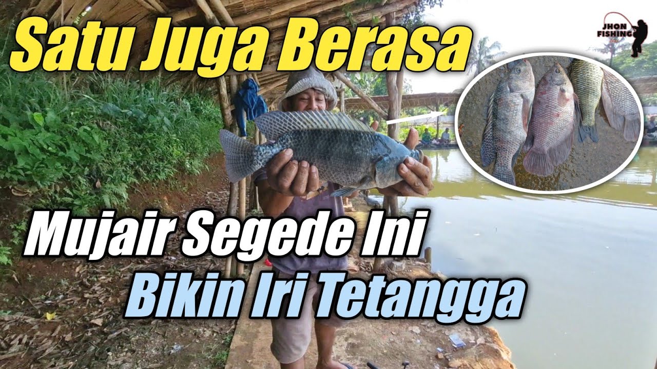 Satu Juga Berasa | Mujair Segede Lengen Ini Bikin Iri Tetangga