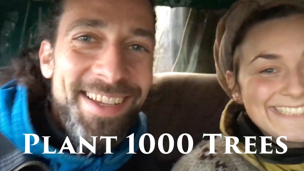 Hero Hacks #11 - Plant a tree or 1000 | Hero Expedition Europe