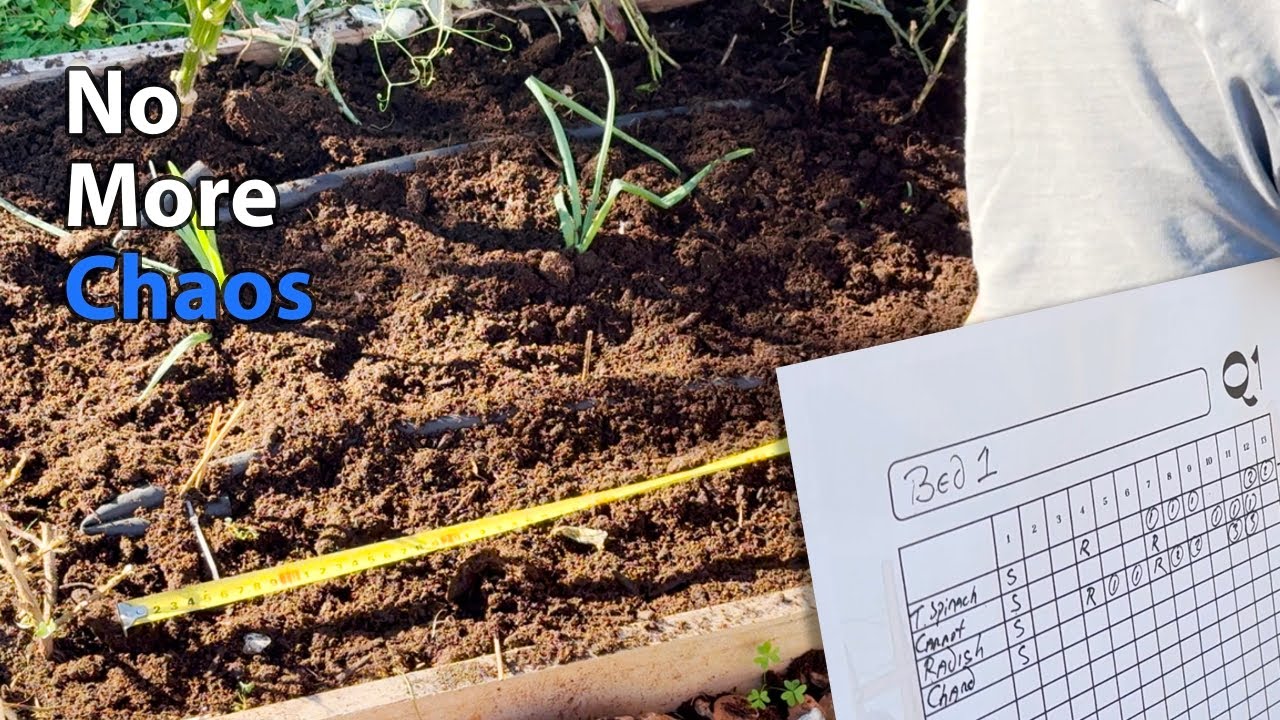 From Garden Chaos to Clarity. How I’m Finally Getting Organized