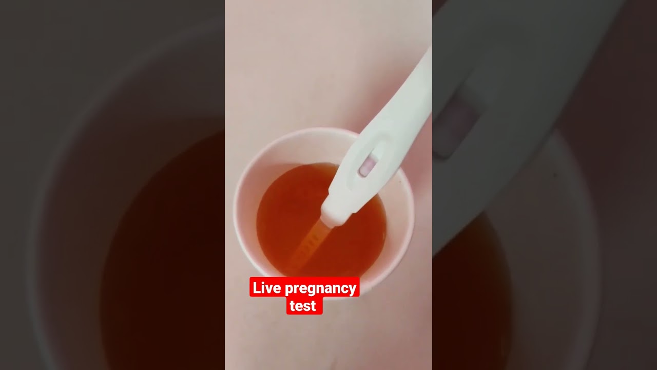 Live pregnancy test #viral #youtubeshorts