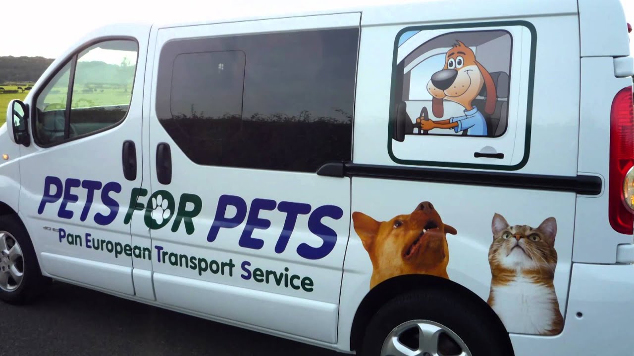 Pets For Pets - A Pan European Pet Transport Service