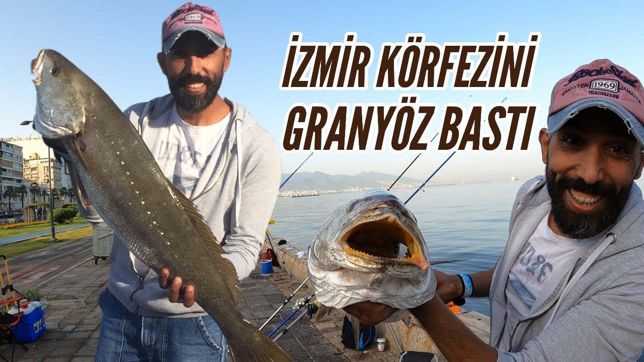 İzmir Körfezini Granyöz Bastı | Kıyıdan Balık Avım