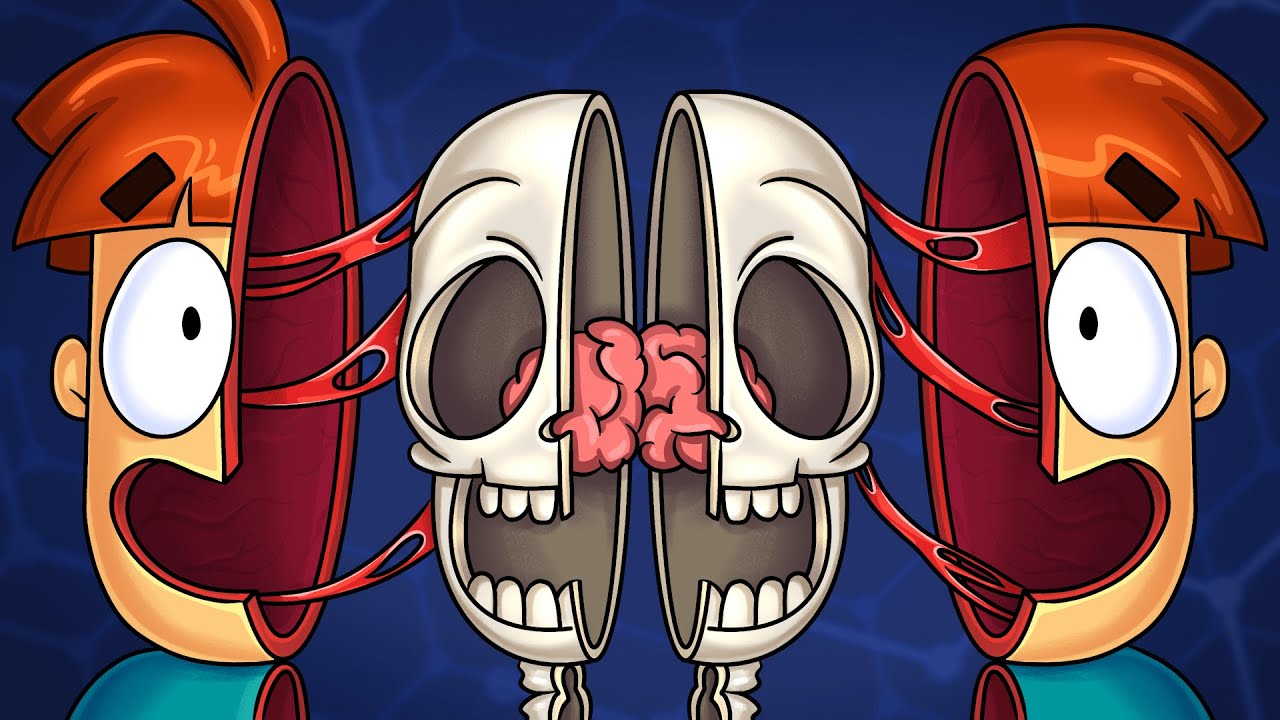 What if Your Brain Was Variously Experimented?