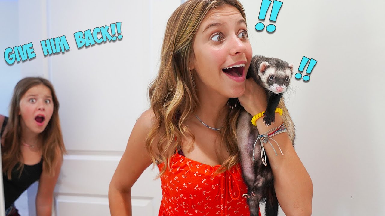 I STOLE MY SISTER'S FERRETS!! |PRANK|