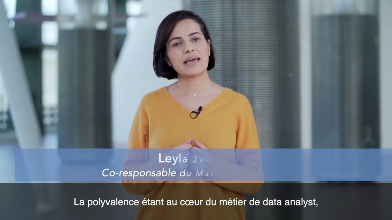 Master Data Analyst